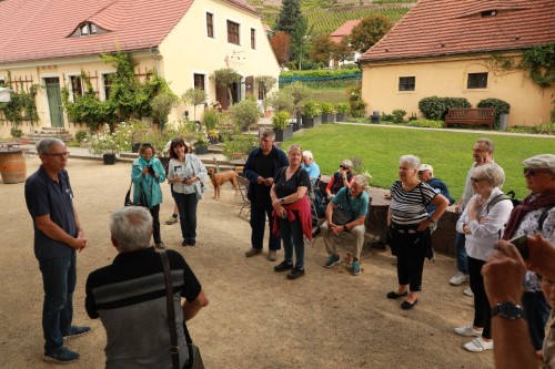 B2 Hoflößnitz Custom